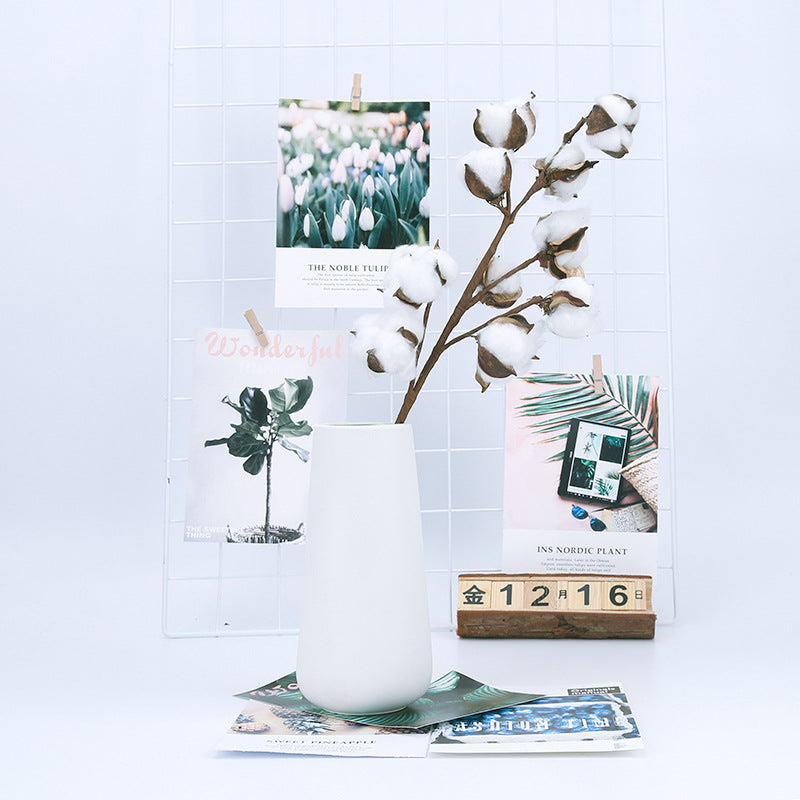 DRIED COTTON FLOWERS