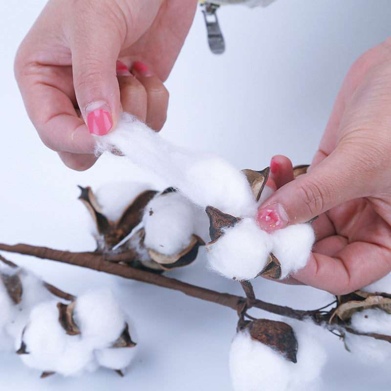 DRIED COTTON FLOWERS