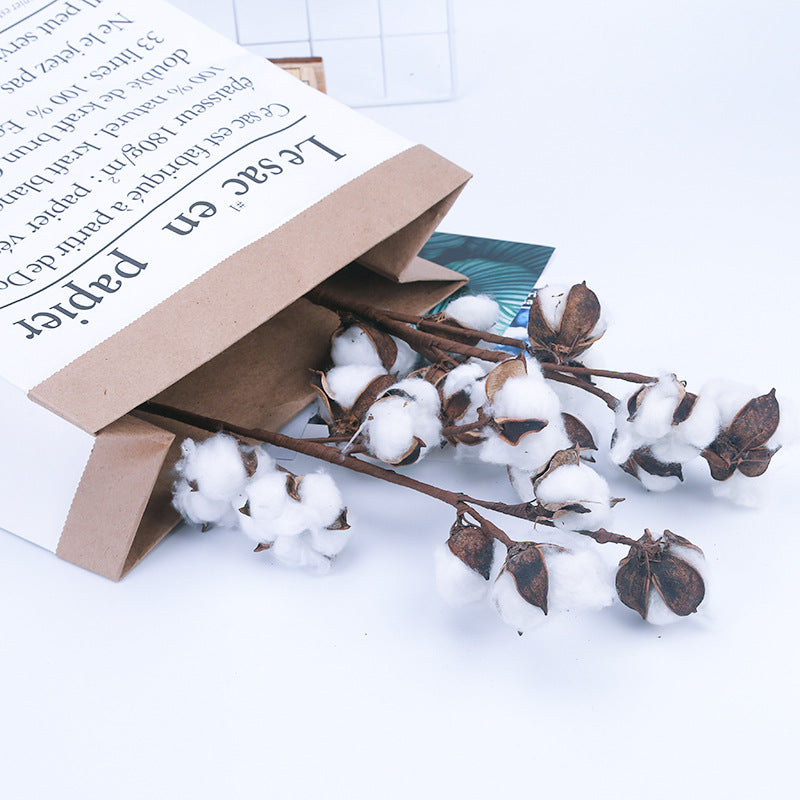 DRIED COTTON FLOWERS