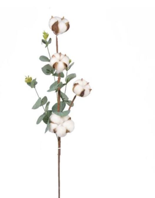 DRIED COTTON FLOWERS
