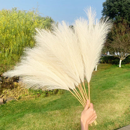 FLUFFY DRIED PAMPAS