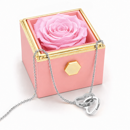 [variant:Rose]