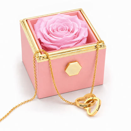 [variant:Rose]