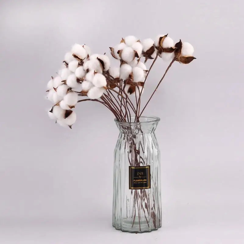 DRIED COTTON FLOWERS