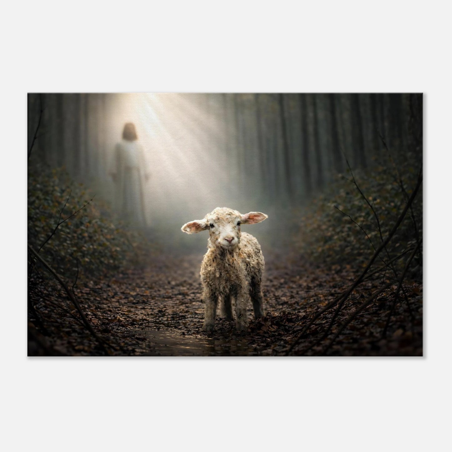 b1858457-9b18-45b0-b6bd-a40dbcf0f8a8