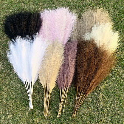 FLUFFY DRIED PAMPAS