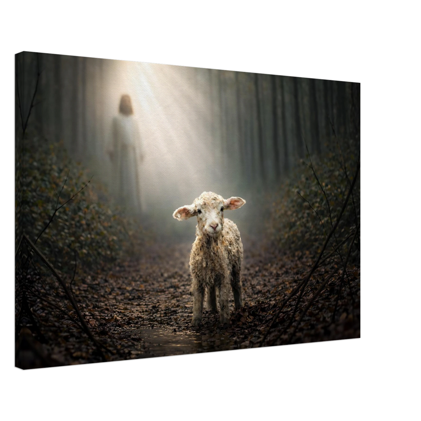 dabd80f4-d373-4cc0-afa2-e7e2dfaf356e