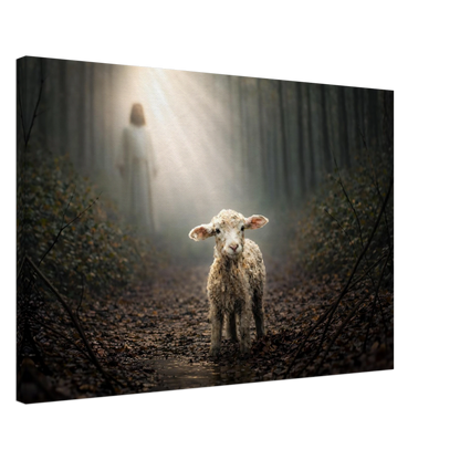 dabd80f4-d373-4cc0-afa2-e7e2dfaf356e